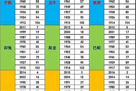 1996是什么年|1996 年出生属什么生肖